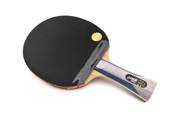 DHS R6002 Table Tennis Racket