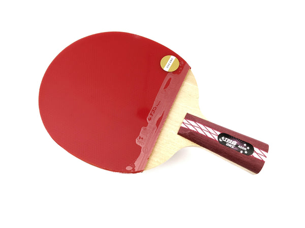 DHS R-4006 table tennis paddle, ( pen-hold )